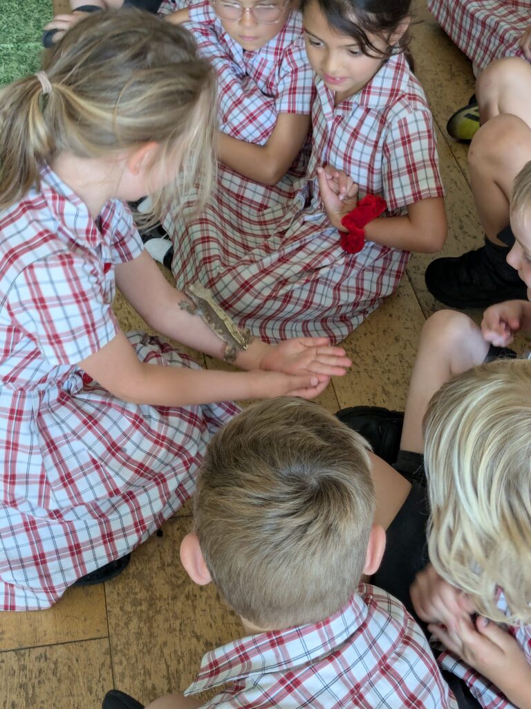 An amazing animal encounter!, Copthill School