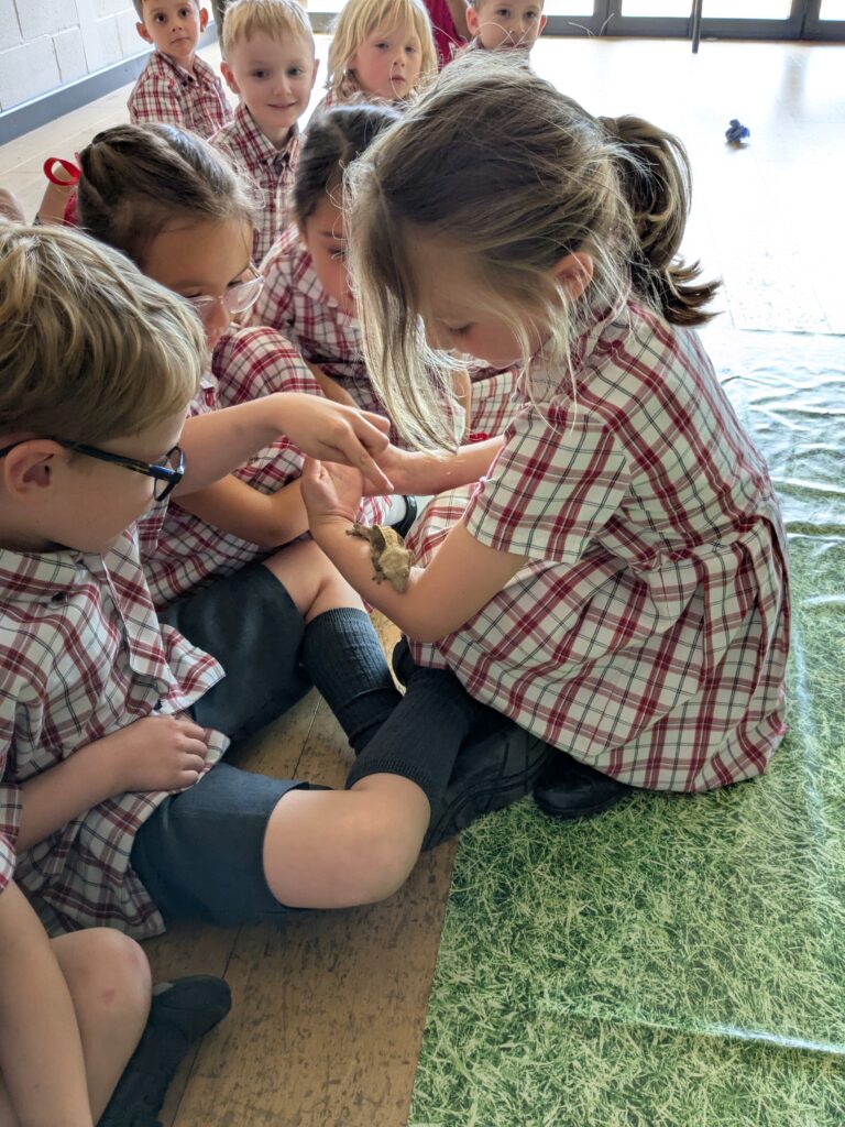 An amazing animal encounter!, Copthill School