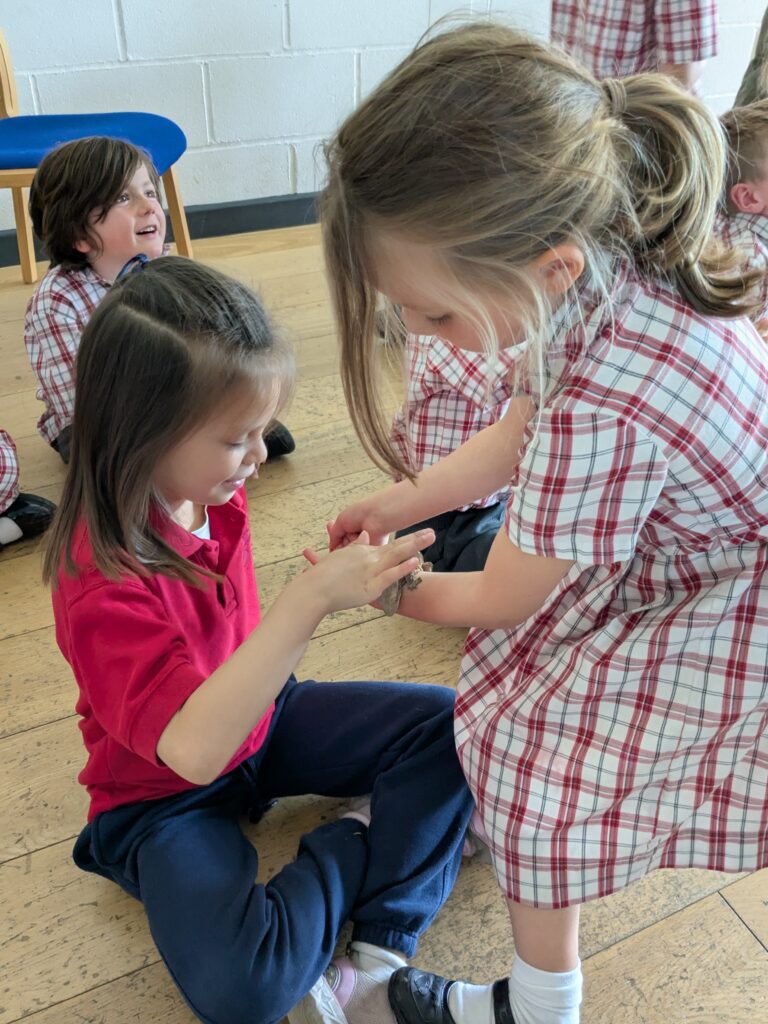 An amazing animal encounter!, Copthill School