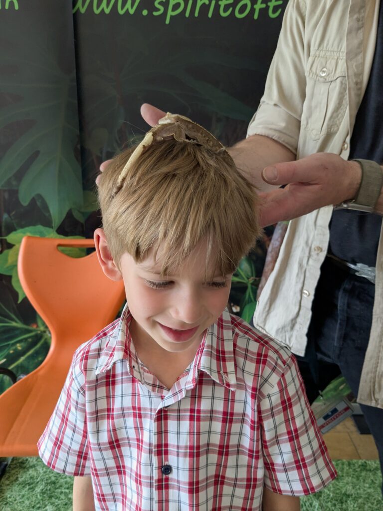 An amazing animal encounter!, Copthill School