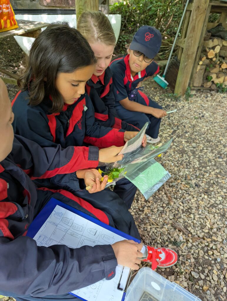 5C Hydroelectric dams, Copthill School