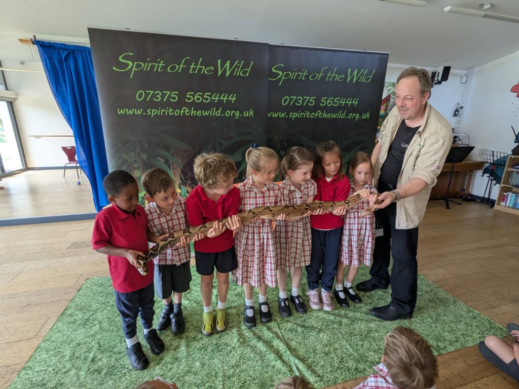An amazing animal encounter!, Copthill School