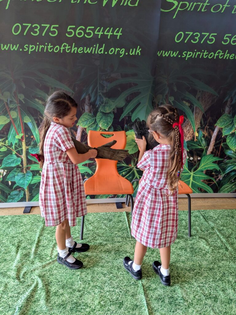 An amazing animal encounter!, Copthill School