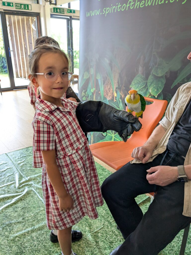 An amazing animal encounter!, Copthill School