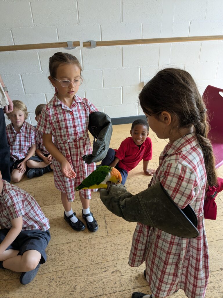 An amazing animal encounter!, Copthill School
