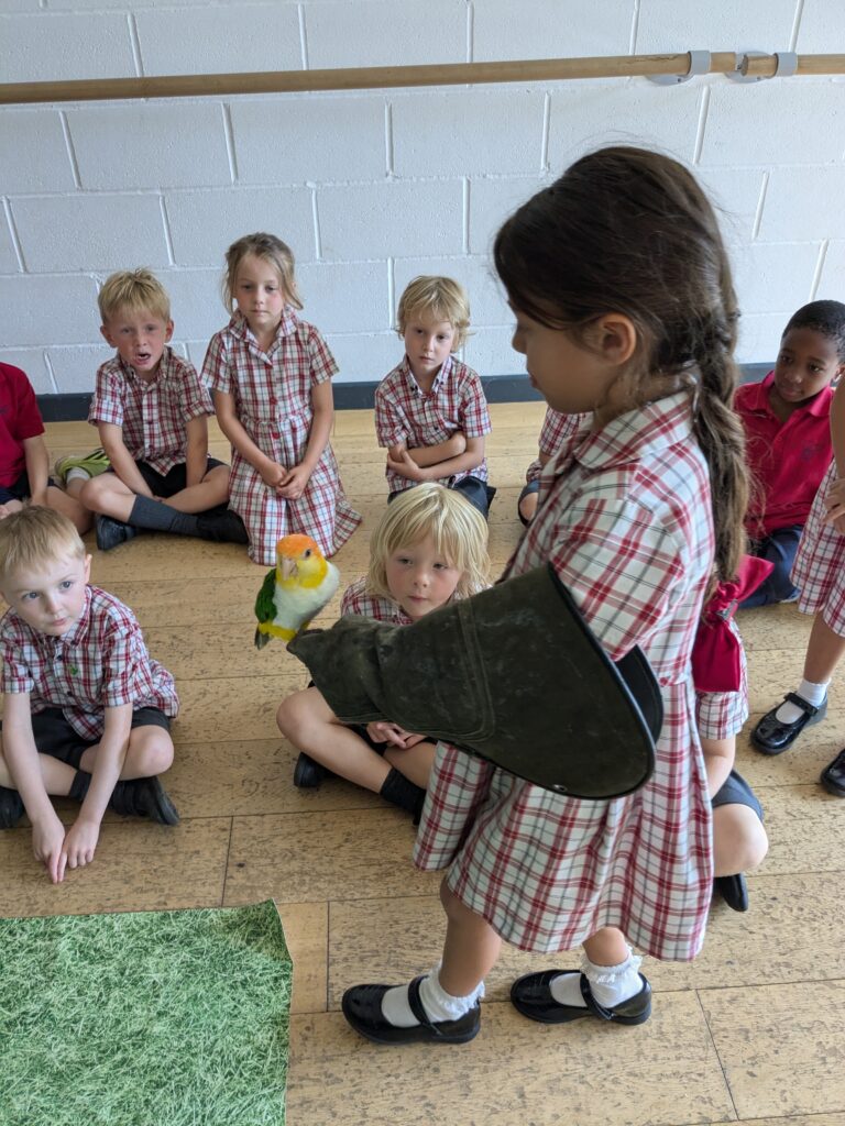 An amazing animal encounter!, Copthill School