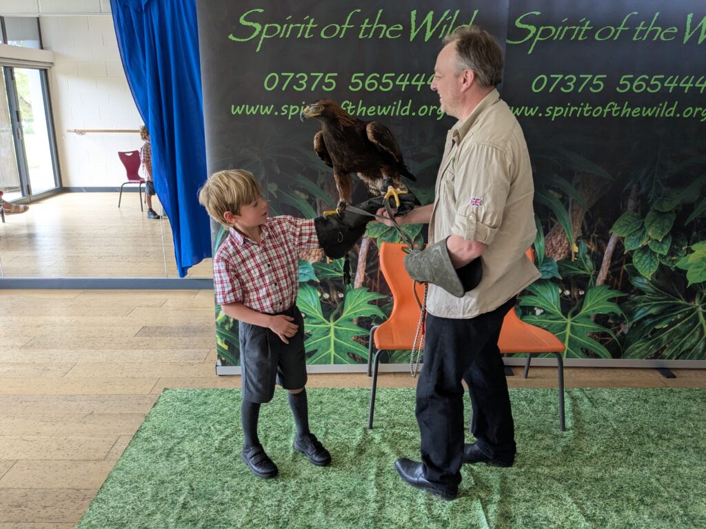 An amazing animal encounter!, Copthill School