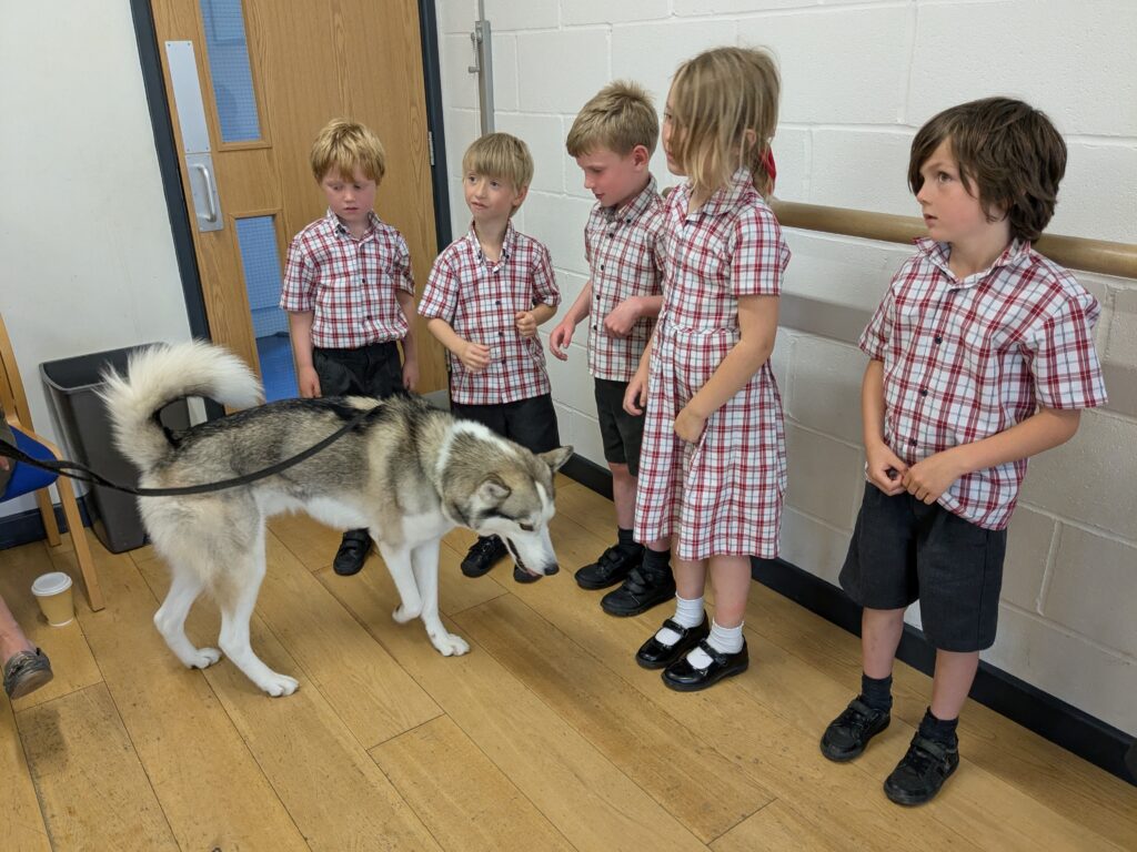 An amazing animal encounter!, Copthill School