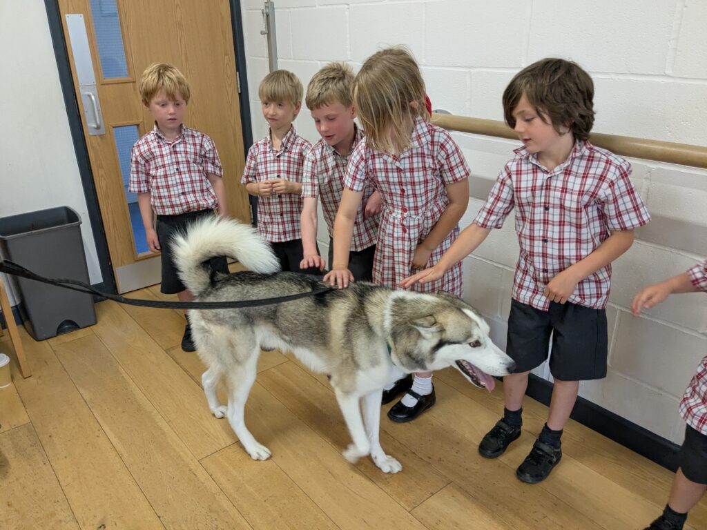 An amazing animal encounter!, Copthill School