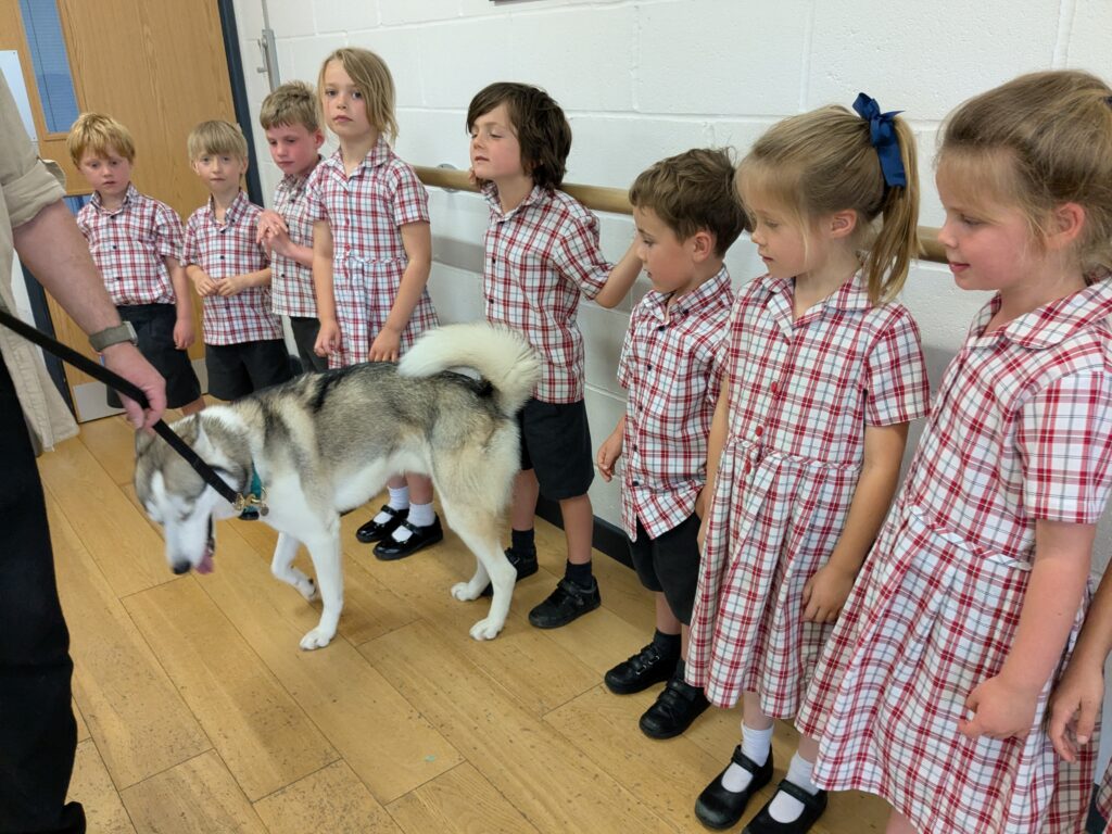 An amazing animal encounter!, Copthill School