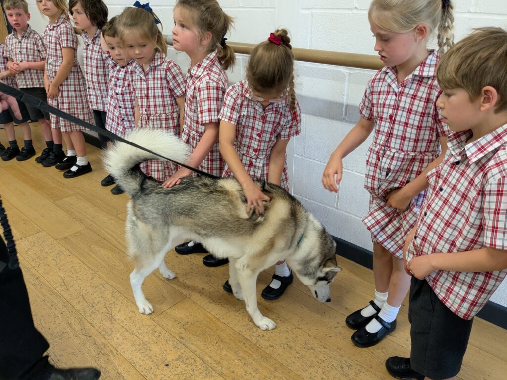 An amazing animal encounter!, Copthill School