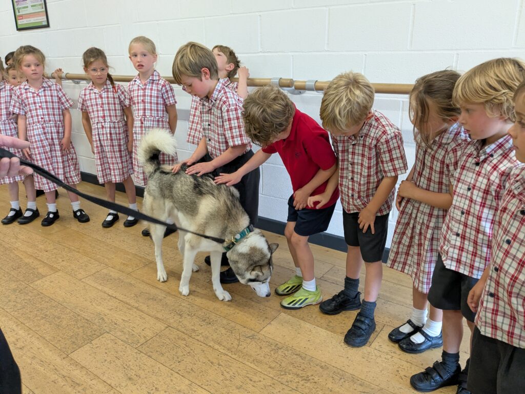 An amazing animal encounter!, Copthill School