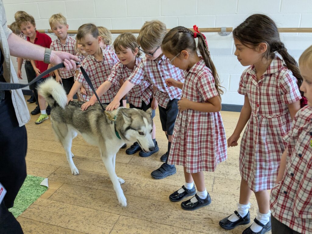 An amazing animal encounter!, Copthill School