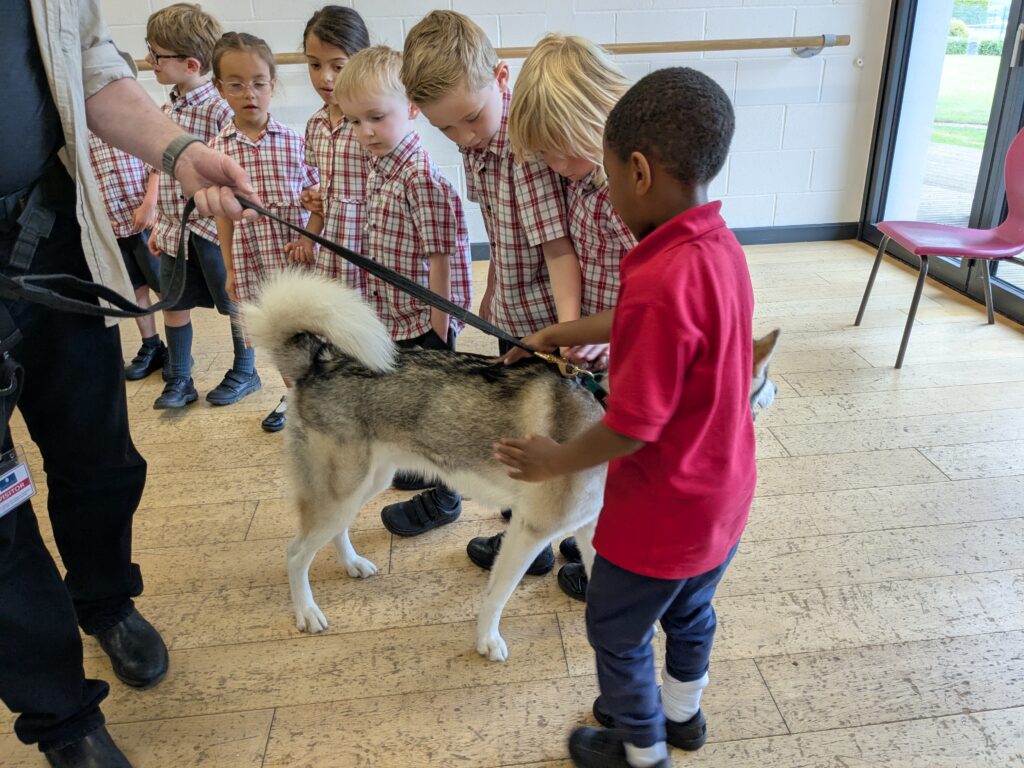 An amazing animal encounter!, Copthill School