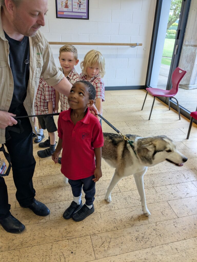 An amazing animal encounter!, Copthill School