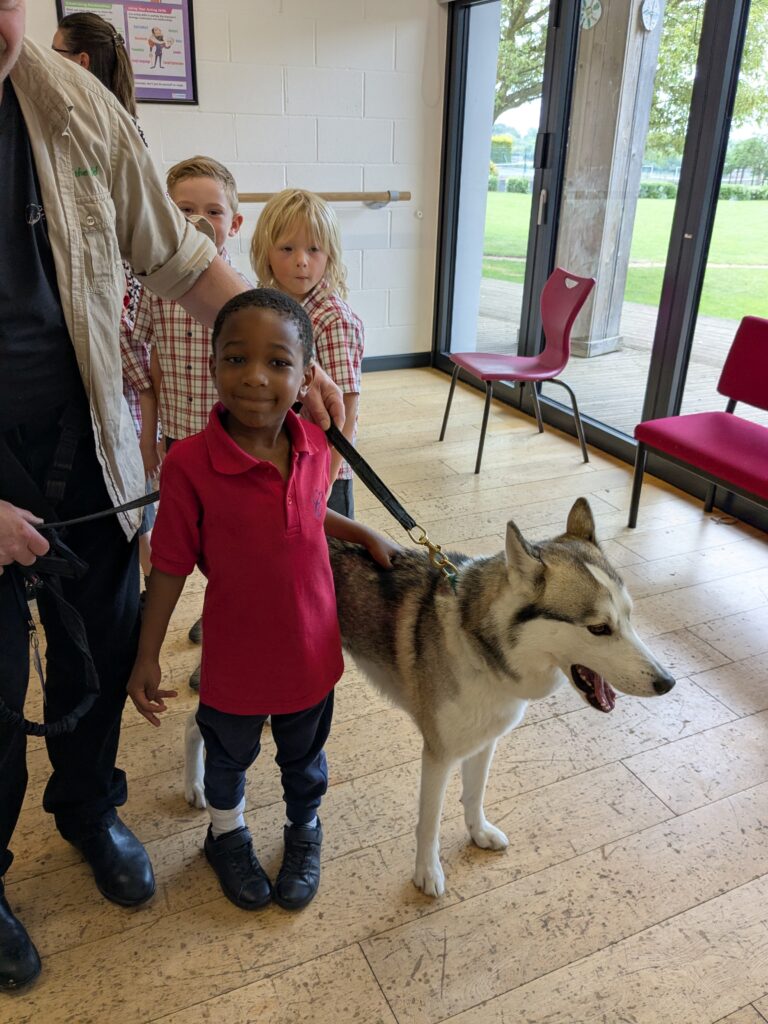 An amazing animal encounter!, Copthill School