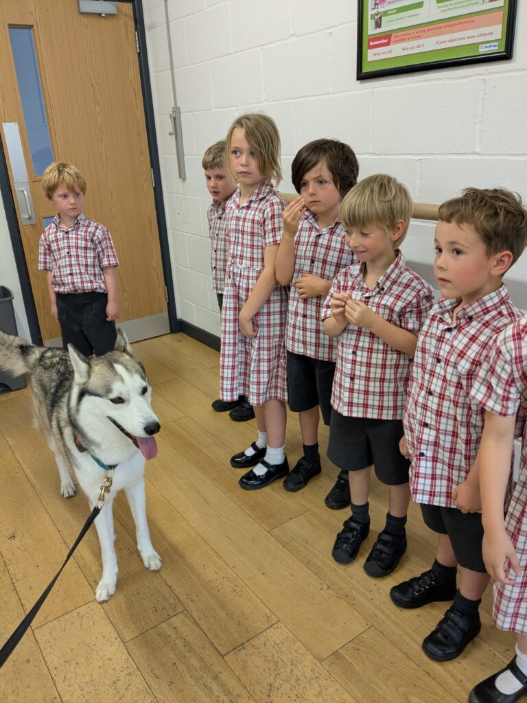 An amazing animal encounter!, Copthill School