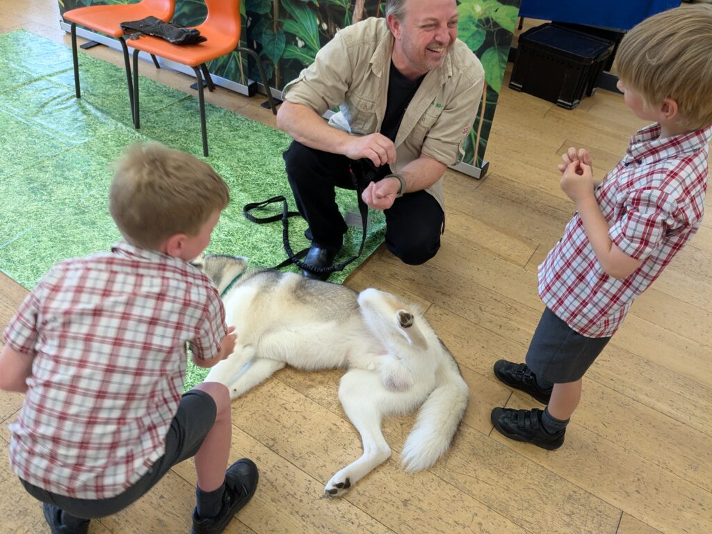 An amazing animal encounter!, Copthill School