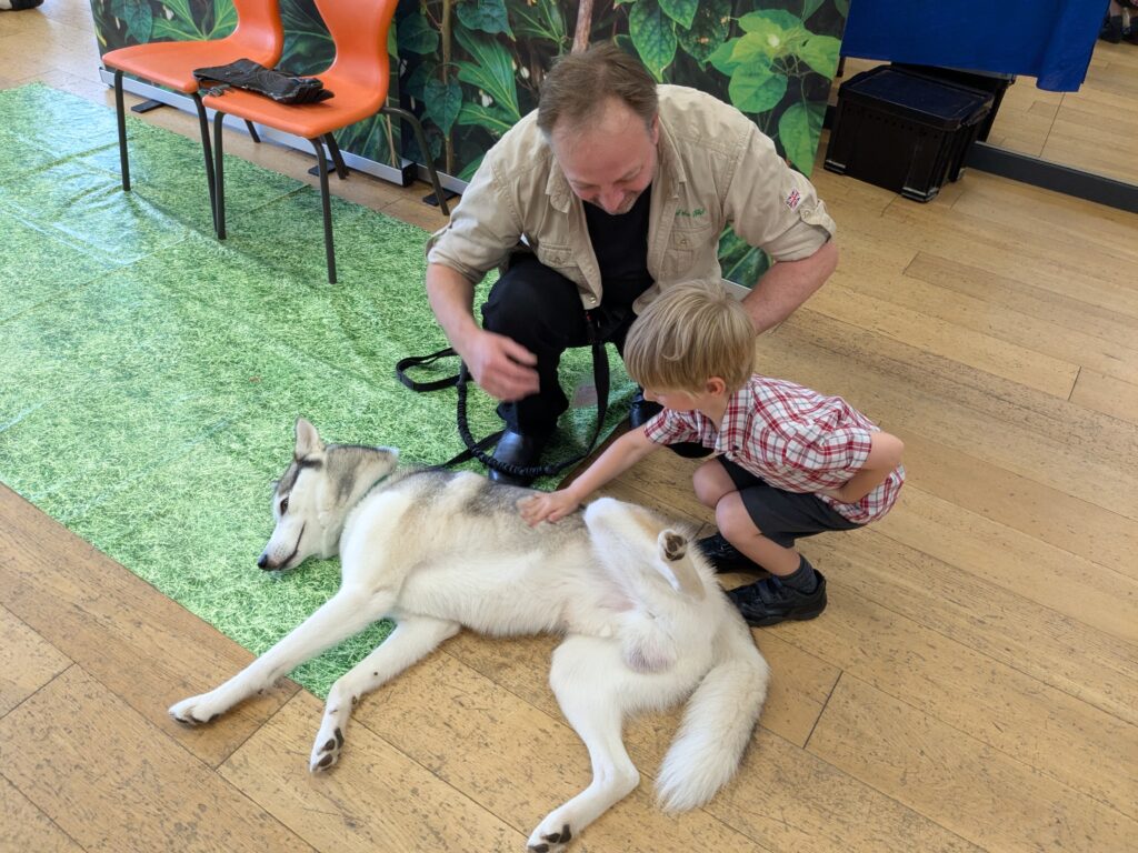 An amazing animal encounter!, Copthill School