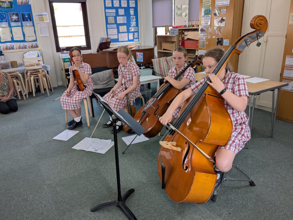 Stupendous Strings!, Copthill School