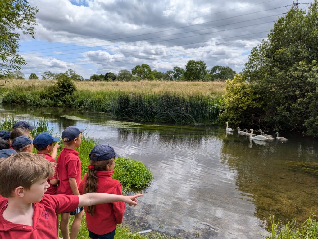 River life, Copthill School
