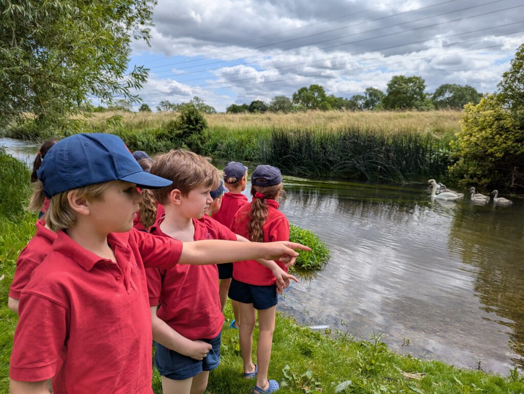 River life, Copthill School
