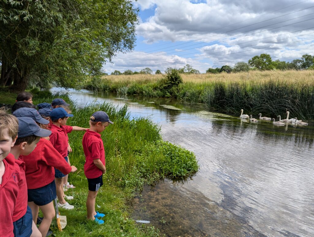 River life, Copthill School