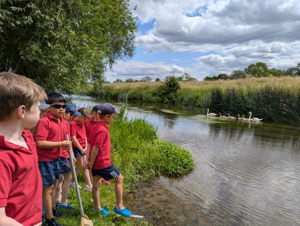 River life, Copthill School