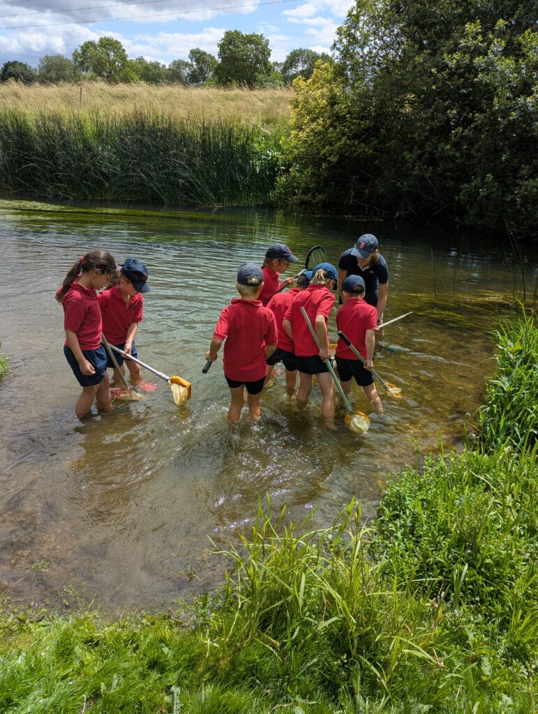 River life, Copthill School