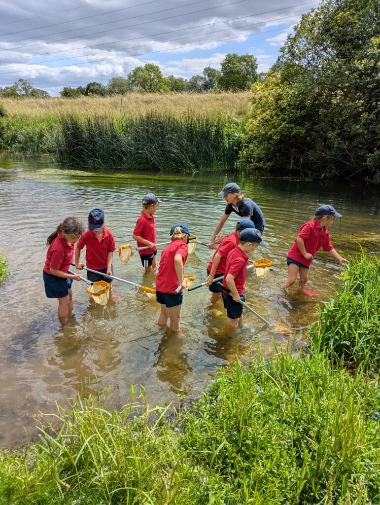 River life, Copthill School