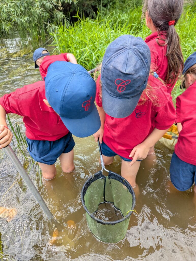 River life, Copthill School