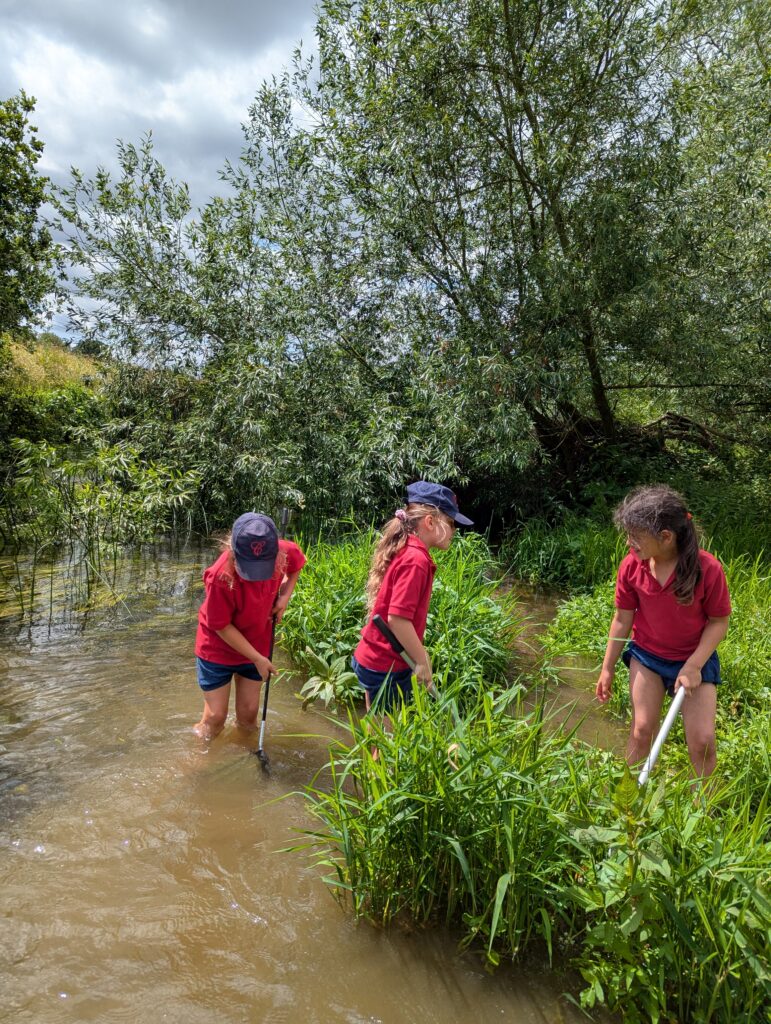 River life, Copthill School