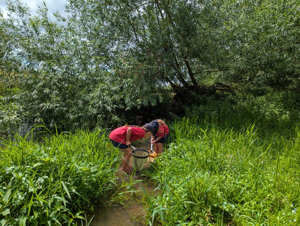 River life, Copthill School