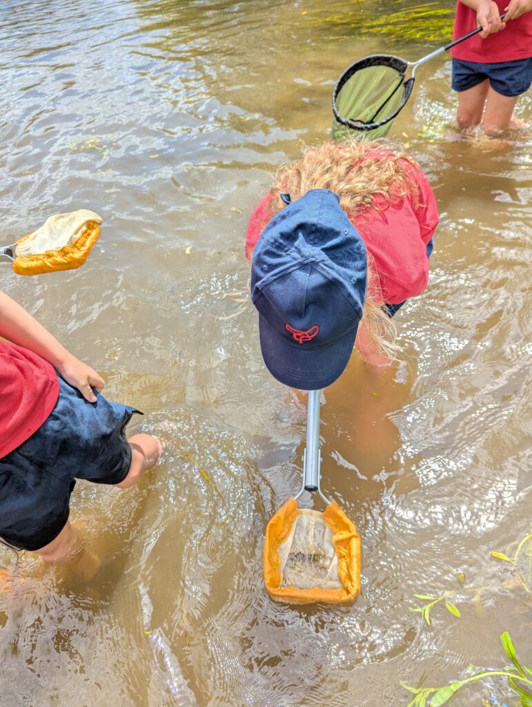 River life, Copthill School