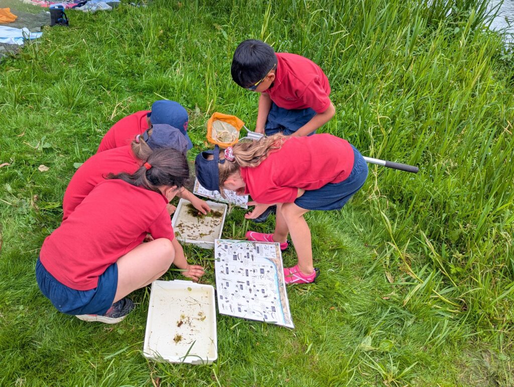 River life, Copthill School