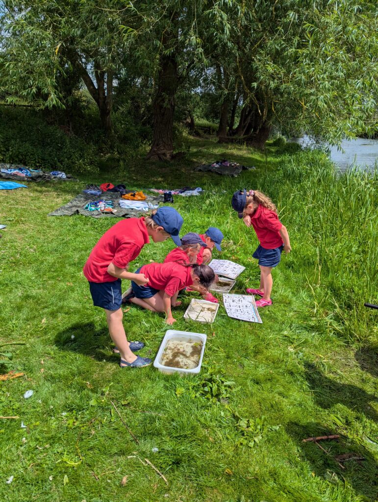 River life, Copthill School