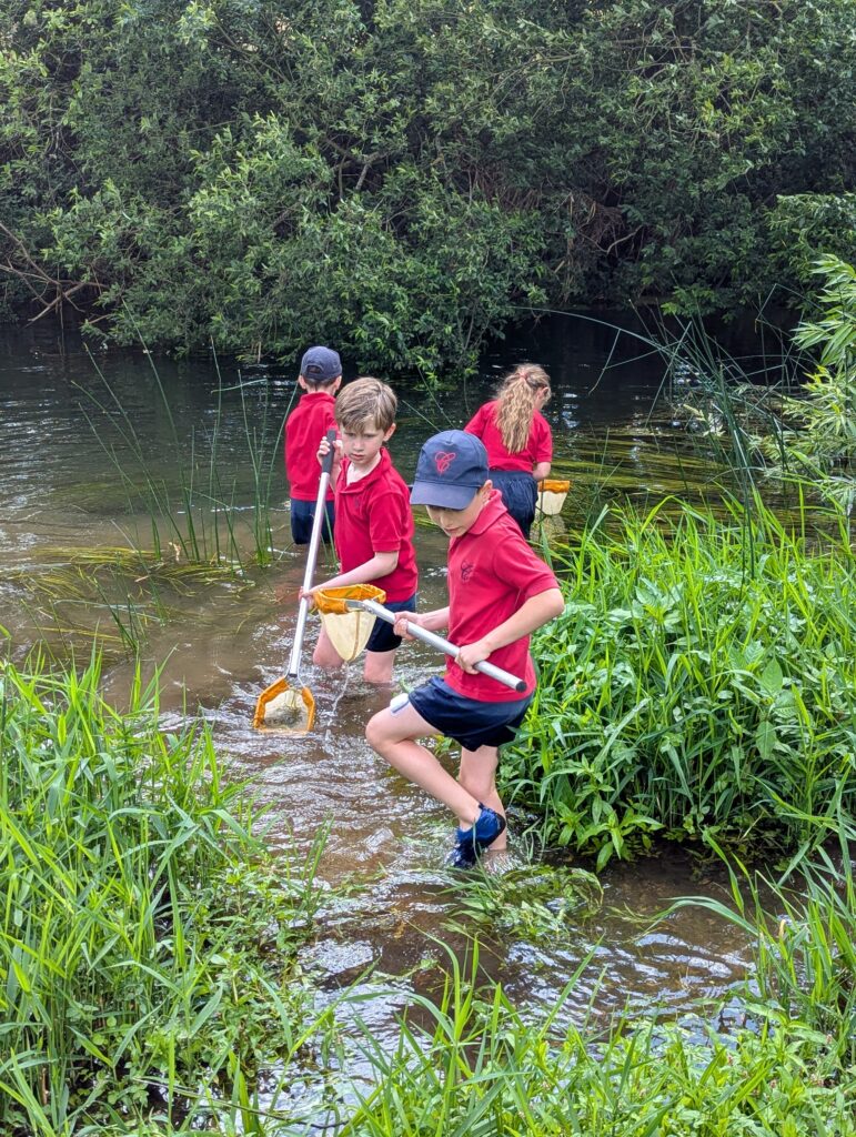 River life, Copthill School
