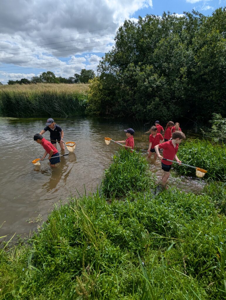 River life, Copthill School