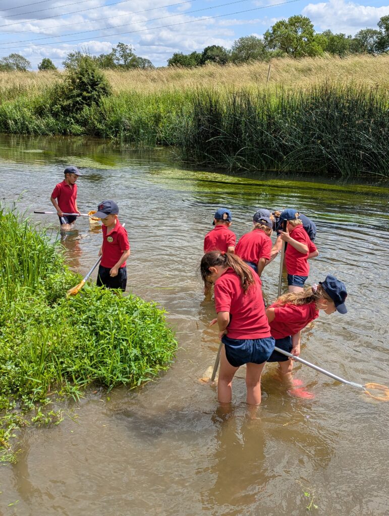 River life, Copthill School