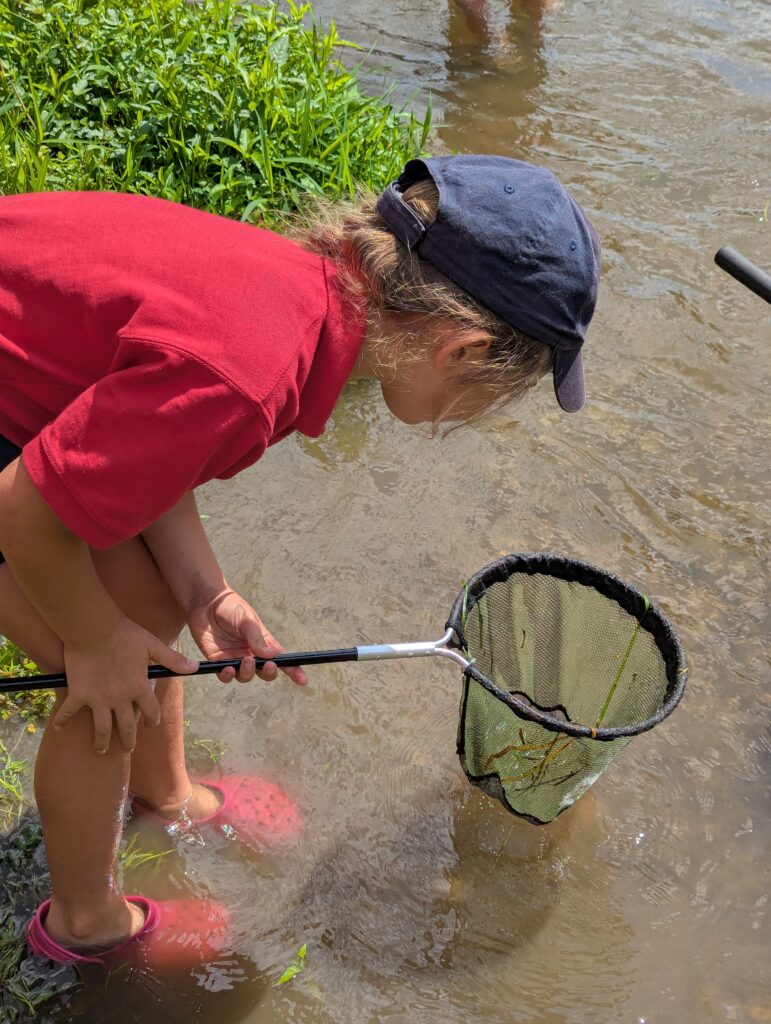 River life, Copthill School