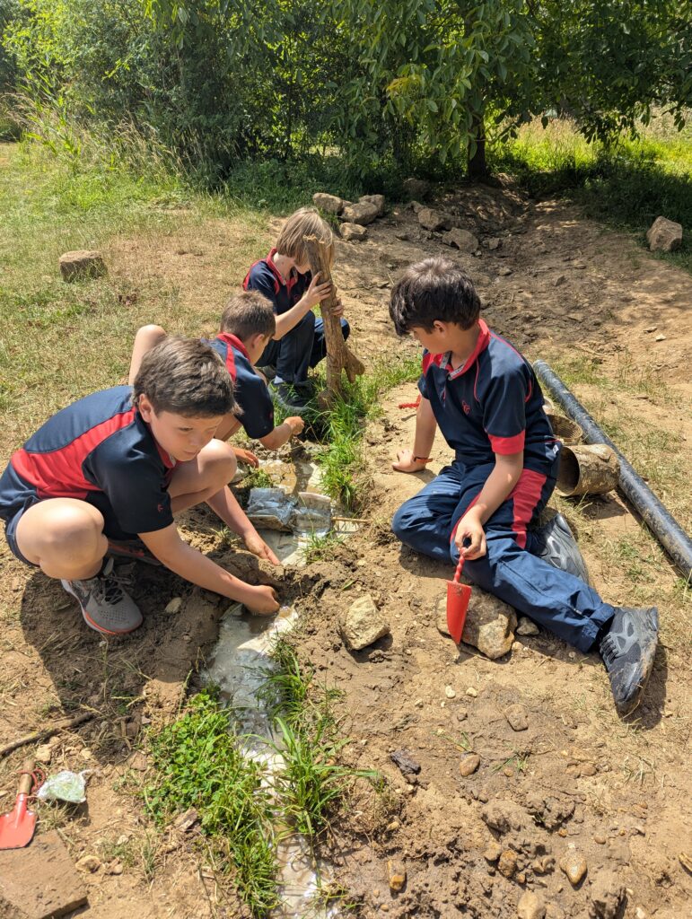 Y5 Hydro-electric dams, Copthill School