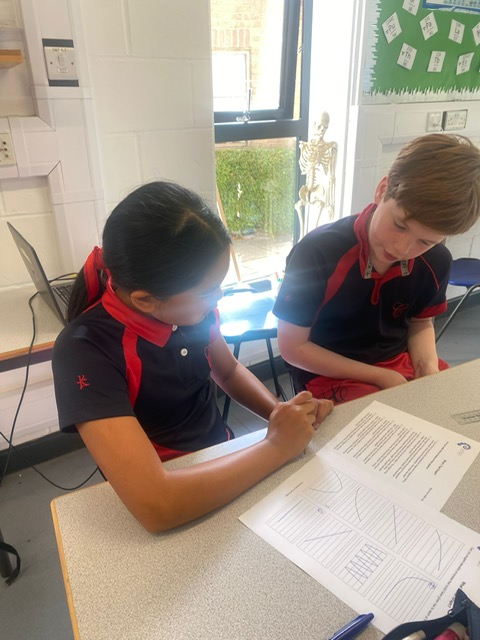 Y5/6 Maths extension, Copthill School