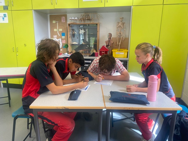 Y5/6 Maths extension, Copthill School