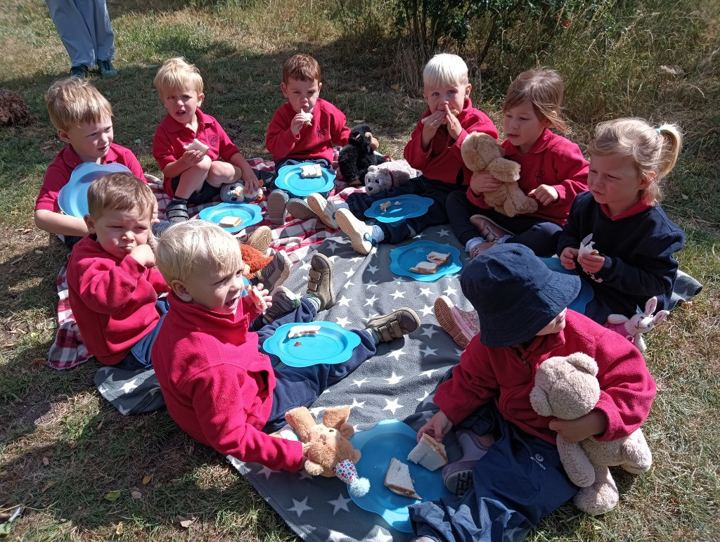 Teddy Bears Picnic, Copthill School