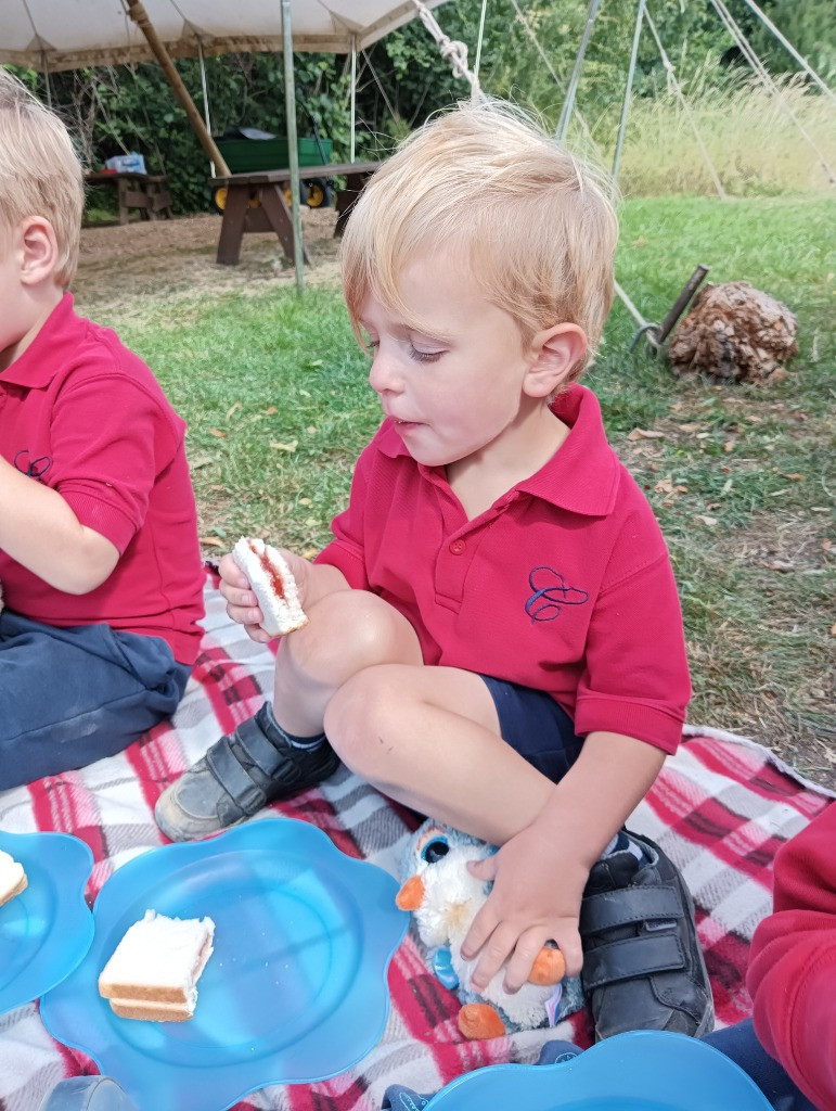 Teddy Bears Picnic, Copthill School