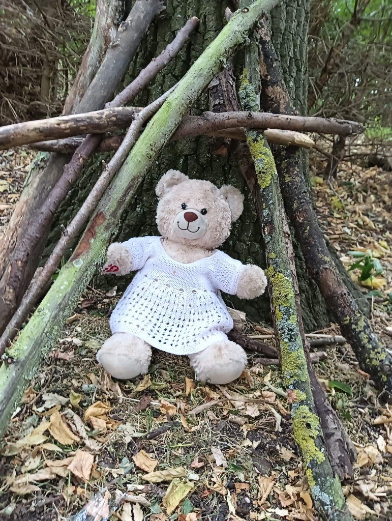 Teddy Bears Picnic, Copthill School