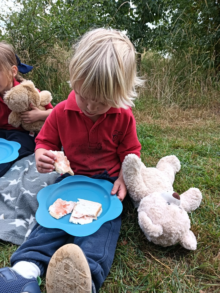Teddy Bears Picnic, Copthill School