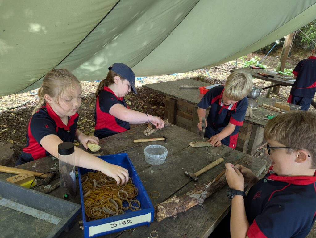 If you go down to the woods today…, Copthill School