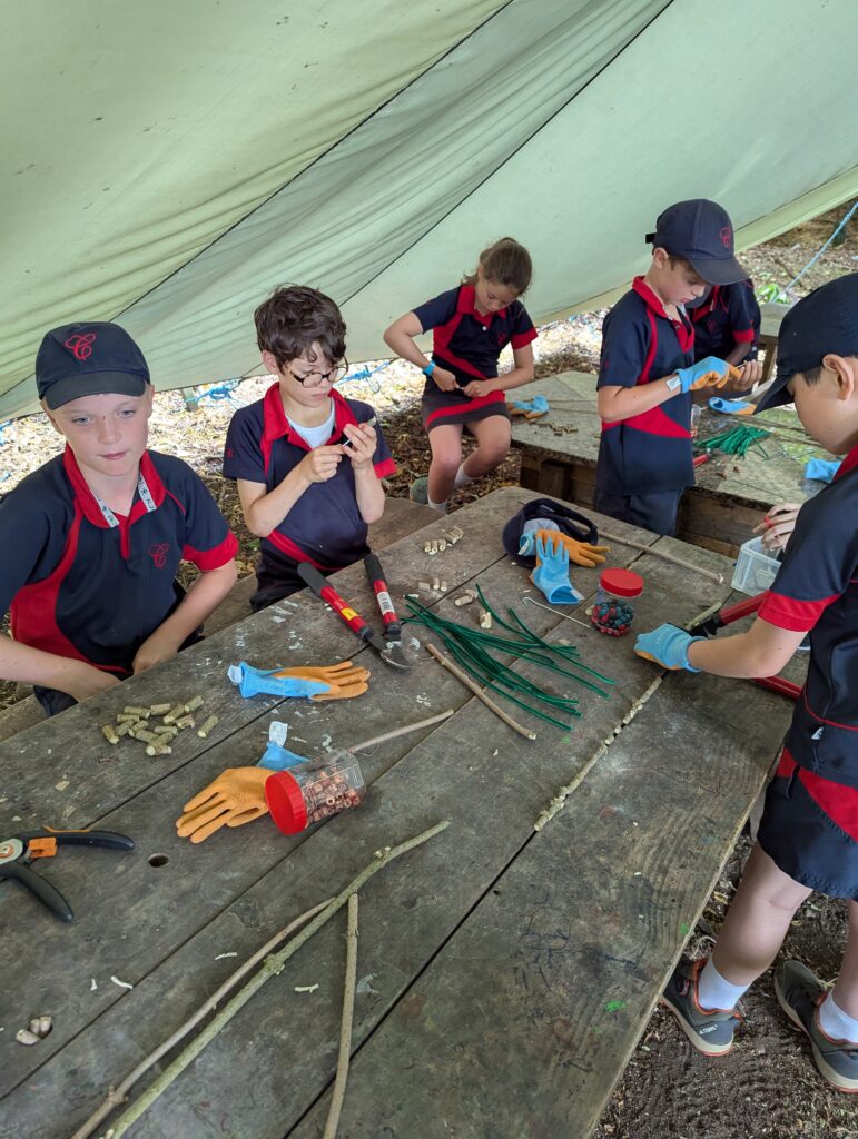 If you go down to the woods today…, Copthill School