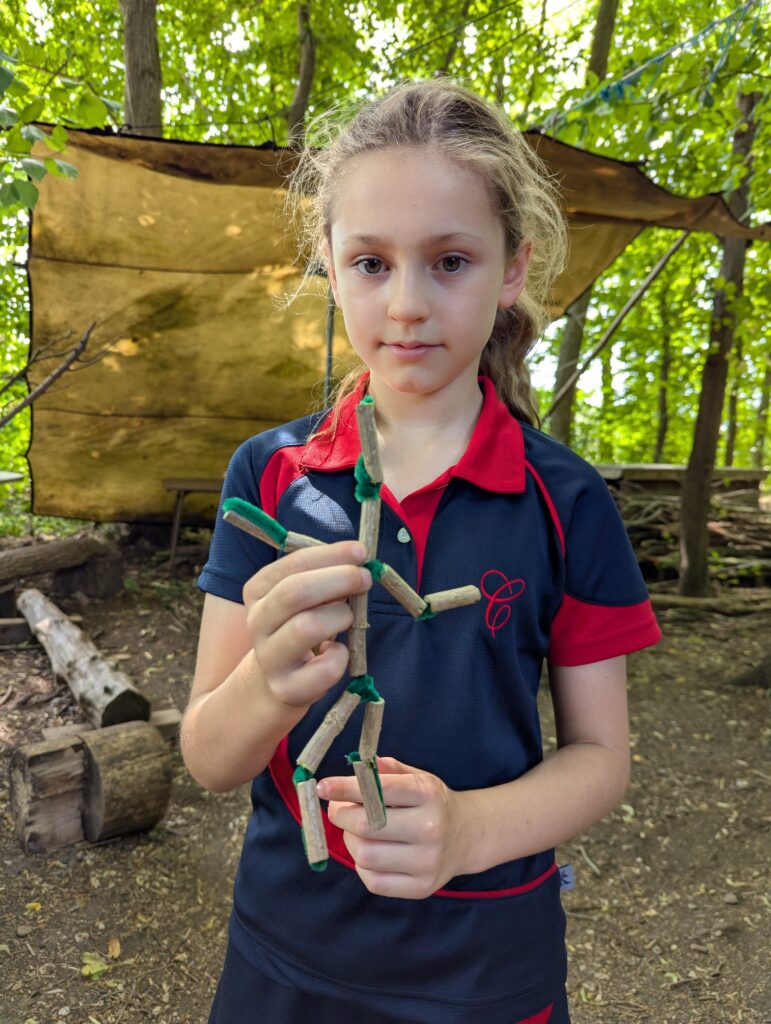 If you go down to the woods today…, Copthill School